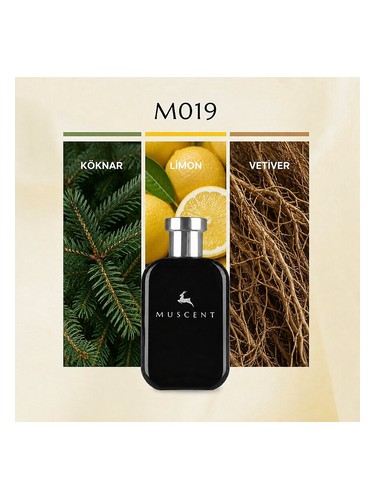 M019 bottle