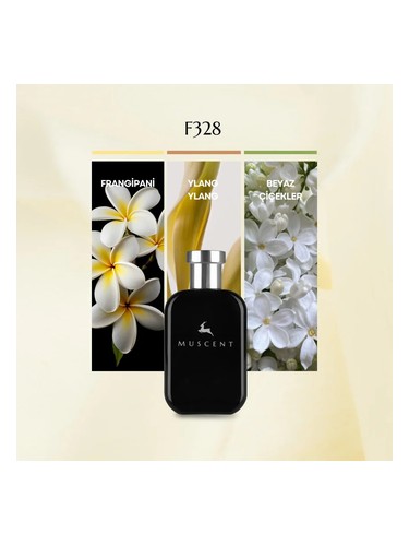 F328 bottle