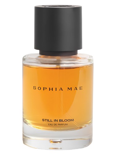 Still in Bloom bottle