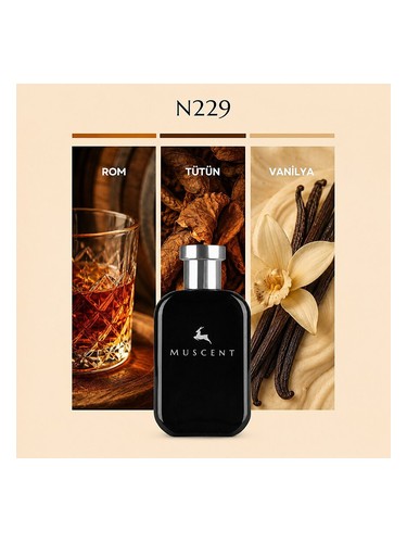 N229 bottle