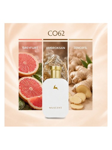 C062 bottle