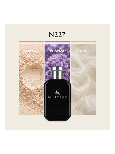 N227 bottle