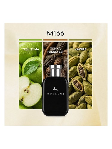 M166 bottle