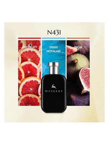 N431 bottle