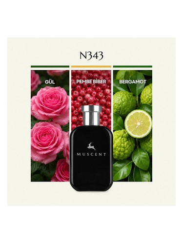 N343 bottle
