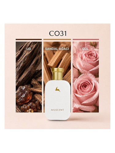 C031 bottle