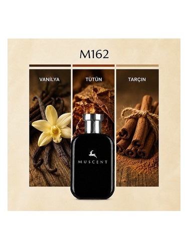 M162 bottle