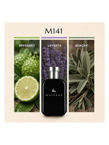 M141 bottle