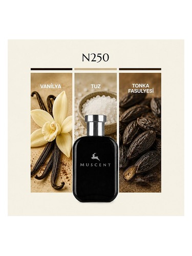 N250 bottle