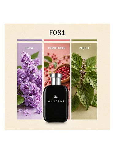 F081 bottle