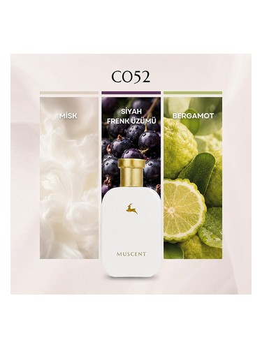 C052 bottle