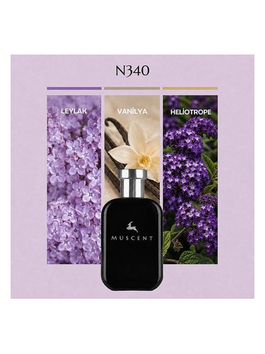 N340 bottle