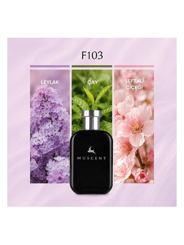 F103 bottle