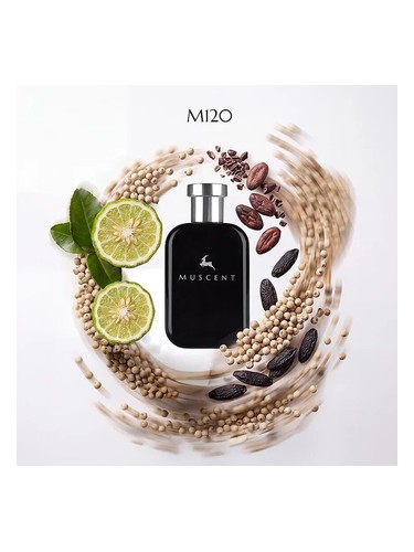 M120 bottle
