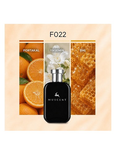 F022 bottle