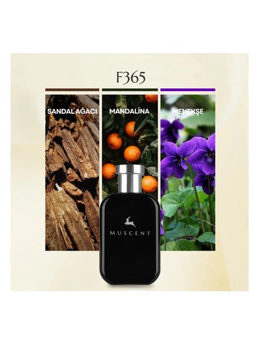 F365 bottle