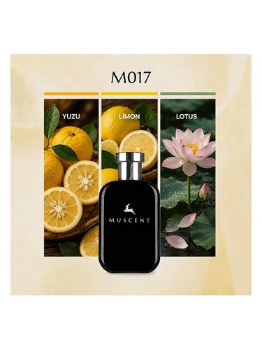M017 bottle