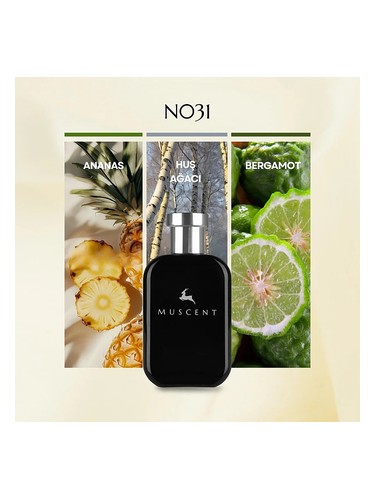 N031 bottle