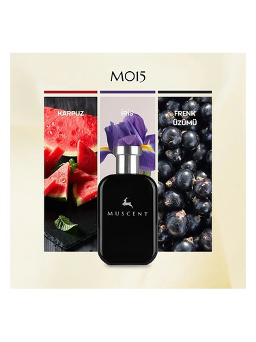 M015 bottle
