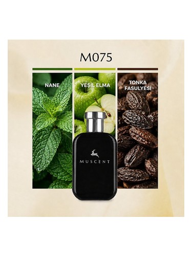 M075 bottle