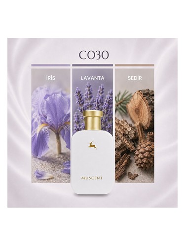 C030 bottle