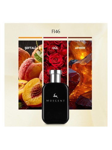 F146 bottle