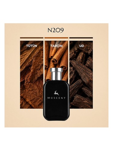 N209 bottle