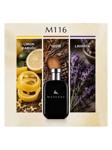 M116 bottle