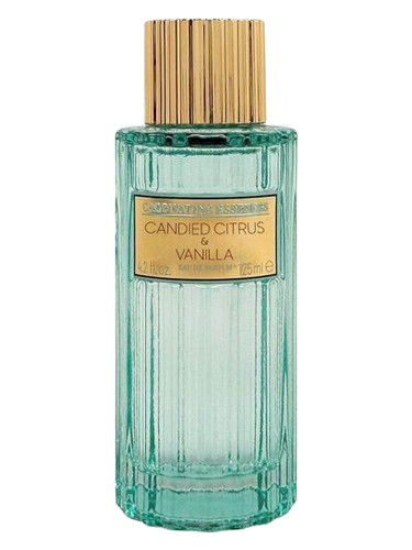 Candied Citrus & Vanilla bottle