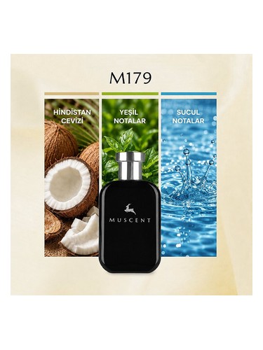M179 bottle