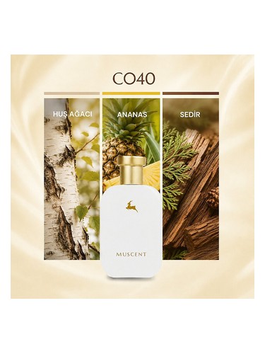C040 bottle