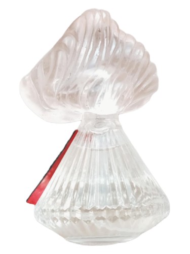 Shells & Wine bottle