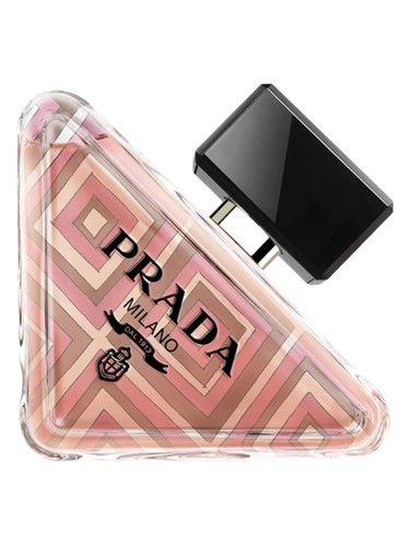 Paradoxe Pulp Edition bottle