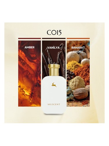C015 bottle