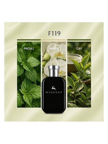 F119 bottle