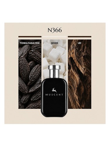 N366 bottle