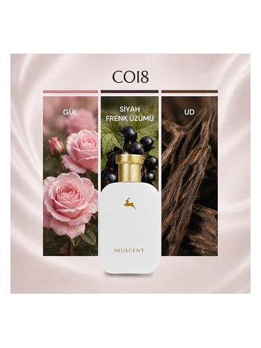 C018 bottle