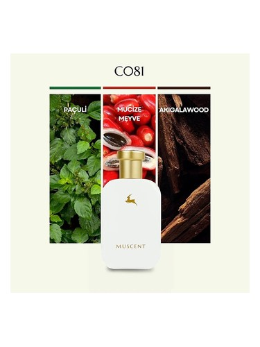 C081 bottle