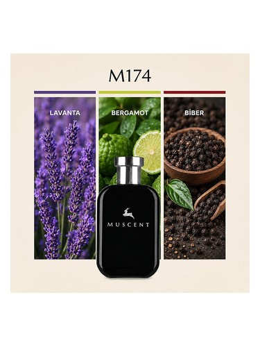 M174 bottle