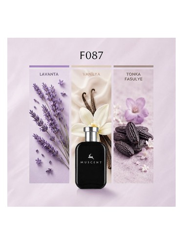 F087 bottle