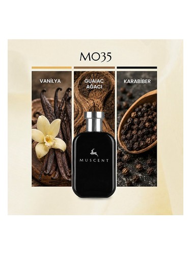 M035 bottle
