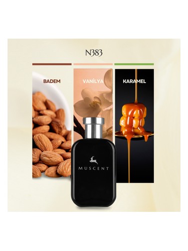 N383 bottle
