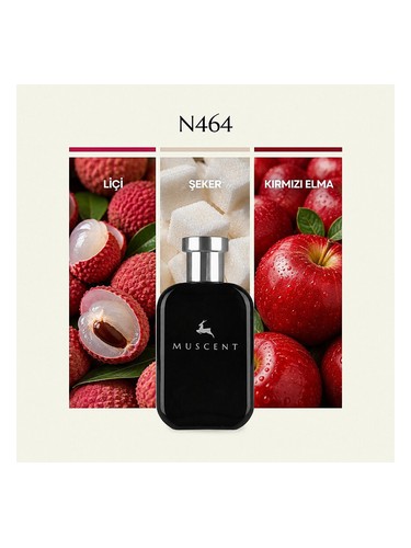 N464 bottle