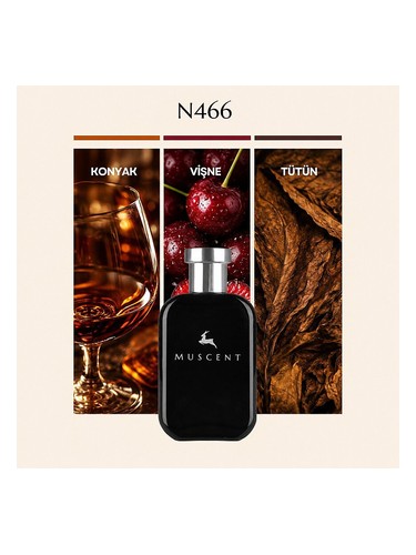 N466 bottle
