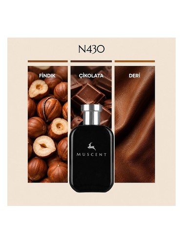 N430 bottle