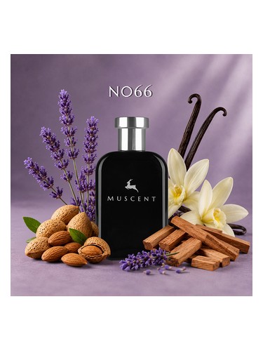 N066 bottle