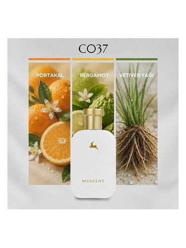 C037 bottle