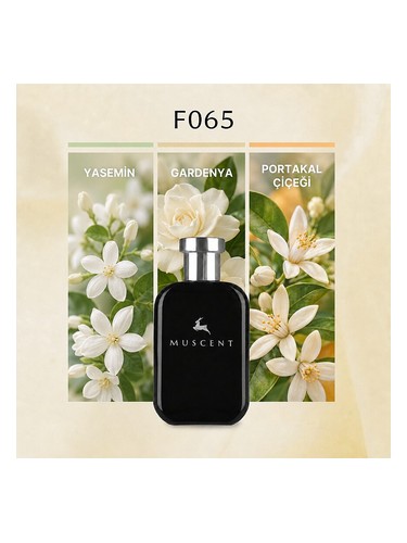 F065 bottle