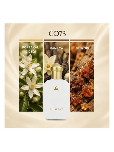 C073 bottle