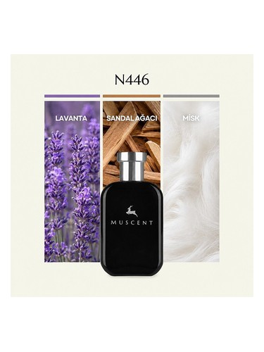 N446 bottle